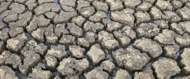 panorama kurumuş kırık göl arka plan dokusu küresel ısınma