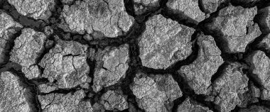 Siyah beyaz panorama kurumuş kırık göl arka plan dokusu küresel ısınma
