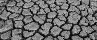Siyah beyaz panorama kurumuş kırık göl arka plan dokusu küresel ısınma