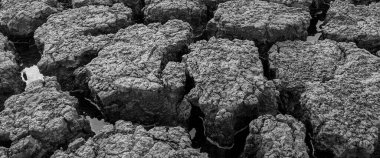 Siyah beyaz panorama kurumuş kırık göl arka plan dokusu küresel ısınma