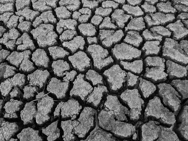 Black White Dried Cracked Lake Bottom Background Texture Global Warming — Stock Photo, Image