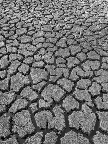 Black White Dried Cracked Lake Bottom Background Texture Global Warming — Stock Photo, Image