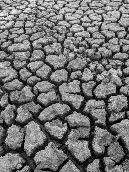 Black White Dried Cracked Lake Bottom Background Texture Global Warming — Stock Photo, Image