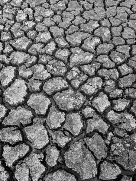 Černá Bílá Sušené Popraskané Jezero Spodní Pozadí Textura Globální Oteplování — Stock fotografie