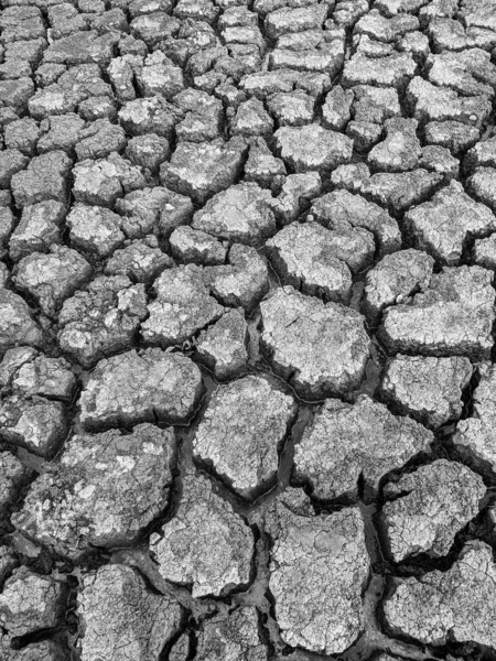 Černá Bílá Sušené Popraskané Jezero Spodní Pozadí Textura Globální Oteplování — Stock fotografie