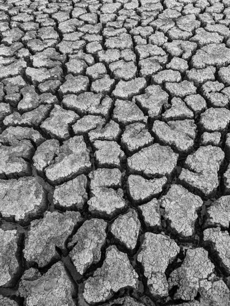 Black White Dried Cracked Lake Bottom Background Texture Global Warming — Stock Photo, Image