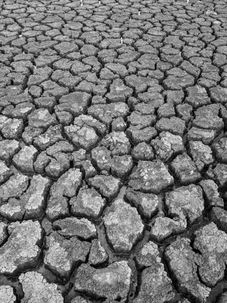 Černá Bílá Sušené Popraskané Jezero Spodní Pozadí Textura Globální Oteplování — Stock fotografie