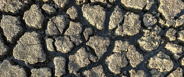 Panorama Dried Cracked Lake Bottom Background Texture Global Warming — Stock Photo, Image