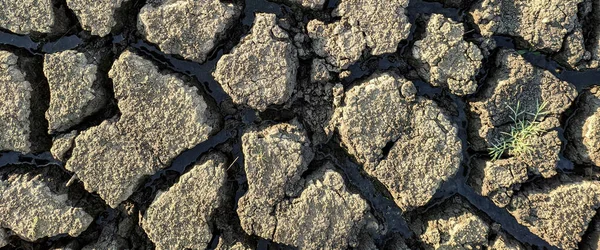 Panorama Dried Cracked Lake Bottom Background Texture Global Warming — Stock Photo, Image