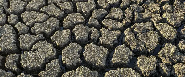 Panorama Seco Agrietado Fondo Del Lago Textura Calentamiento Global — Foto de Stock