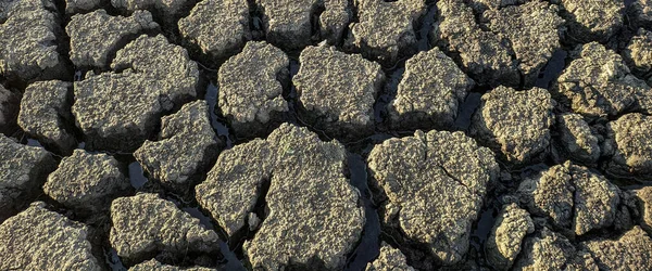 Панорама Сухого Тріщинного Дна Озера Текстура Фону Глобального Потепління — стокове фото