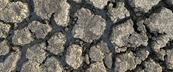 Panorama Asciugato Incrinato Fondo Del Lago Texture Riscaldamento Globale — Foto Stock