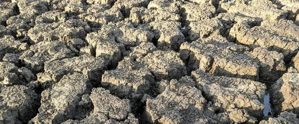 Panorama Sušené Popraskané Jezero Spodní Textura Pozadí Globální Oteplování — Stock fotografie