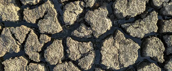 Panorama Getrocknet Rissig Seegrund Hintergrund Textur Globale Erwärmung — Stockfoto