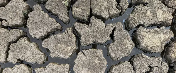 Panorama Kurumuş Kırık Göl Arka Plan Dokusu Küresel Isınma — Stok fotoğraf