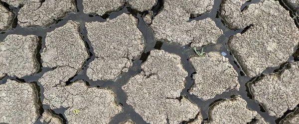 全景干裂湖底背景纹理全球变暖 — 图库照片