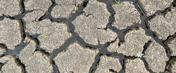 Panorama Sušené Popraskané Jezero Spodní Textura Pozadí Globální Oteplování — Stock fotografie