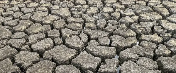 파노라마가 바닥의 구조를 온난화 — 스톡 사진