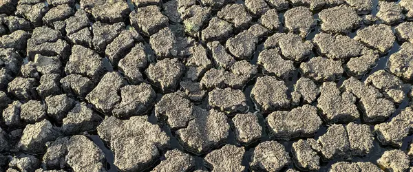 パノラマ乾燥砕いた湖底のテクスチャ 地球温暖化 — ストック写真