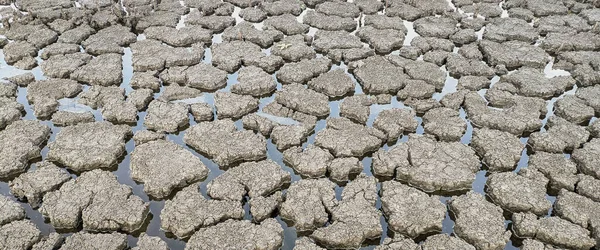 Panorama Sušené Popraskané Jezero Spodní Textura Pozadí Globální Oteplování — Stock fotografie