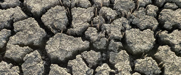 Panorama Seco Rachado Lago Fundo Fundo Textura Global Aquecimento — Fotografia de Stock