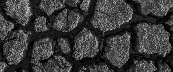 Black White Panorama Dried Cracked Lake Bottom Background Texture Global — Stock Photo, Image