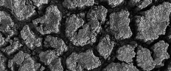 Black White Panorama Dried Cracked Lake Bottom Background Texture Global — Stock Photo, Image