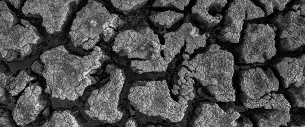 Black White Panorama Dried Cracked Lake Bottom Background Texture Global — Stock Photo, Image