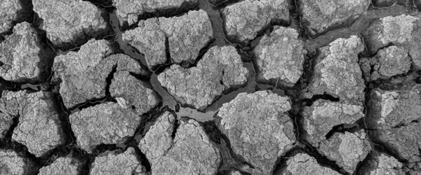 Black White Panorama Dried Cracked Lake Bottom Background Texture Global — Stock Photo, Image