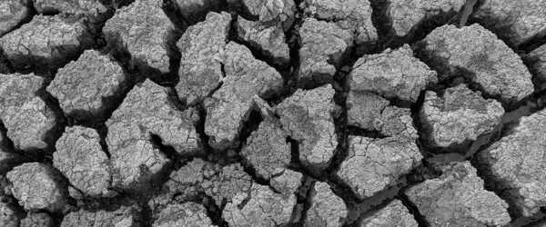 Black White Panorama Dried Cracked Lake Bottom Background Texture Global — Stock Photo, Image