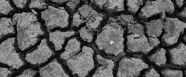 黒と白のパノラマ乾燥した亀裂湖底のテクスチャ 地球温暖化 — ストック写真