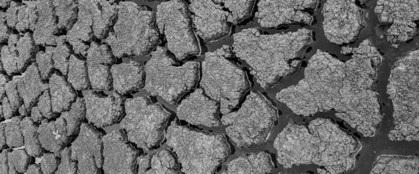 Black White Panorama Dried Cracked Lake Bottom Background Texture Global — Stock Photo, Image