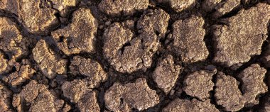 panorama kurumuş kırık göl arka plan dokusu küresel ısınma