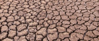 panorama kurumuş kırık göl arka plan dokusu küresel ısınma