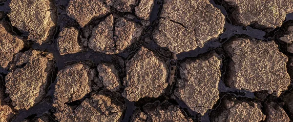 Panorama Dried Cracked Lake Bottom Background Texture Global Warming — Stock Photo, Image