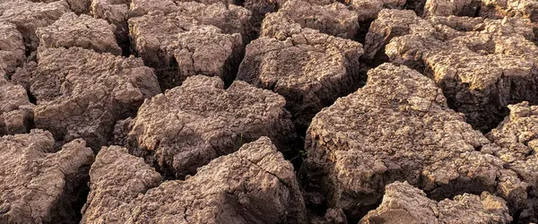 Panorama Kurumuş Kırık Göl Arka Plan Dokusu Küresel Isınma — Stok fotoğraf