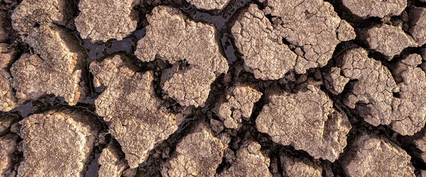 Panorama Getrocknet Rissig Seegrund Hintergrund Textur Globale Erwärmung — Stockfoto