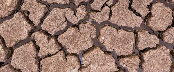 Panorama Seco Agrietado Fondo Del Lago Textura Calentamiento Global — Foto de Stock