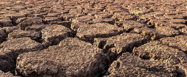 Panorama Seco Agrietado Fondo Del Lago Textura Calentamiento Global —  Fotos de Stock