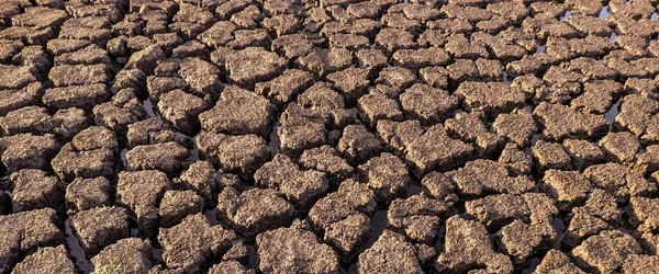 Panorama Seco Agrietado Fondo Del Lago Textura Calentamiento Global — Foto de Stock