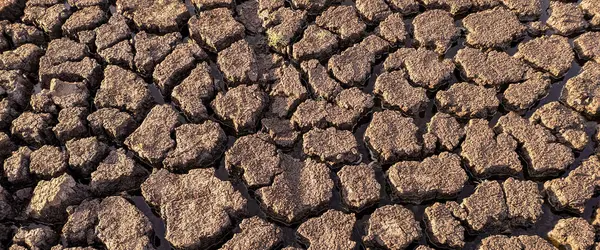 Panorama Seco Agrietado Fondo Del Lago Textura Calentamiento Global — Foto de Stock