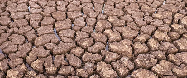 Panorama Getrocknet Rissig Seegrund Hintergrund Textur Globale Erwärmung — Stockfoto