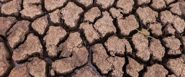 Panorama Seco Agrietado Fondo Del Lago Textura Calentamiento Global — Foto de Stock