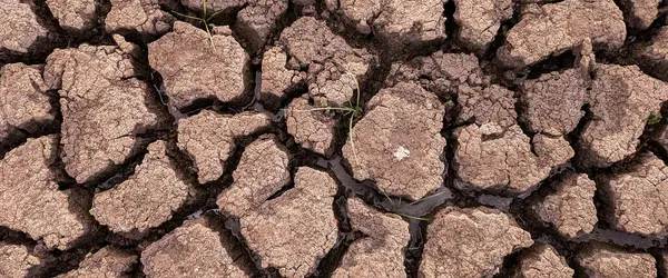 パノラマ乾燥砕いた湖底のテクスチャ 地球温暖化 — ストック写真