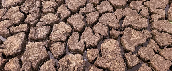 Panorama Getrocknet Rissig Seegrund Hintergrund Textur Globale Erwärmung — Stockfoto