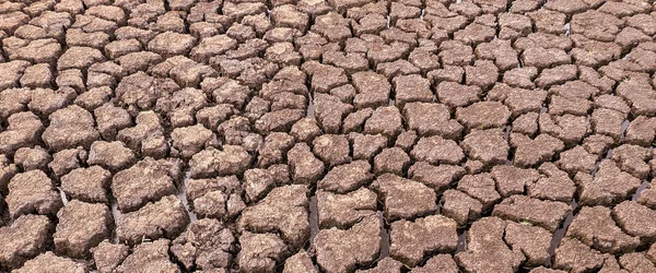 Panorama Seco Agrietado Fondo Del Lago Textura Calentamiento Global — Foto de Stock