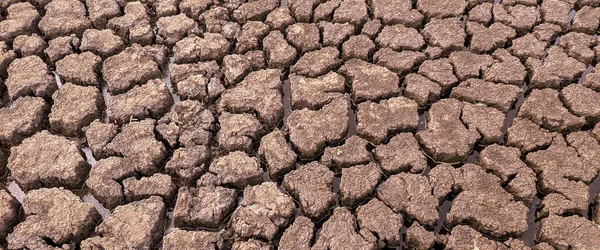 パノラマ乾燥砕いた湖底のテクスチャ 地球温暖化 — ストック写真