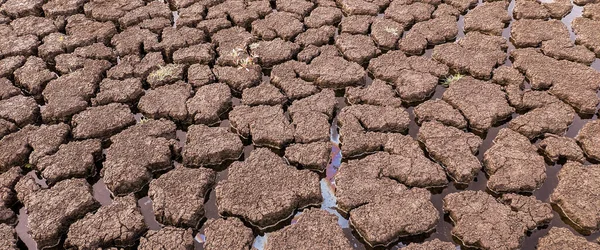 パノラマ乾燥砕いた湖底のテクスチャ 地球温暖化 — ストック写真