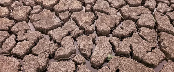 Panorama Seco Agrietado Fondo Del Lago Textura Calentamiento Global — Foto de Stock