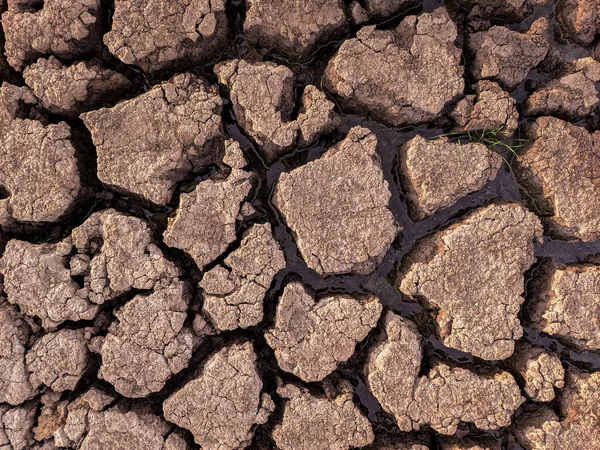 Getrockneter Rissiger Seeboden Hintergrund Textur Globale Erwärmung — Stockfoto